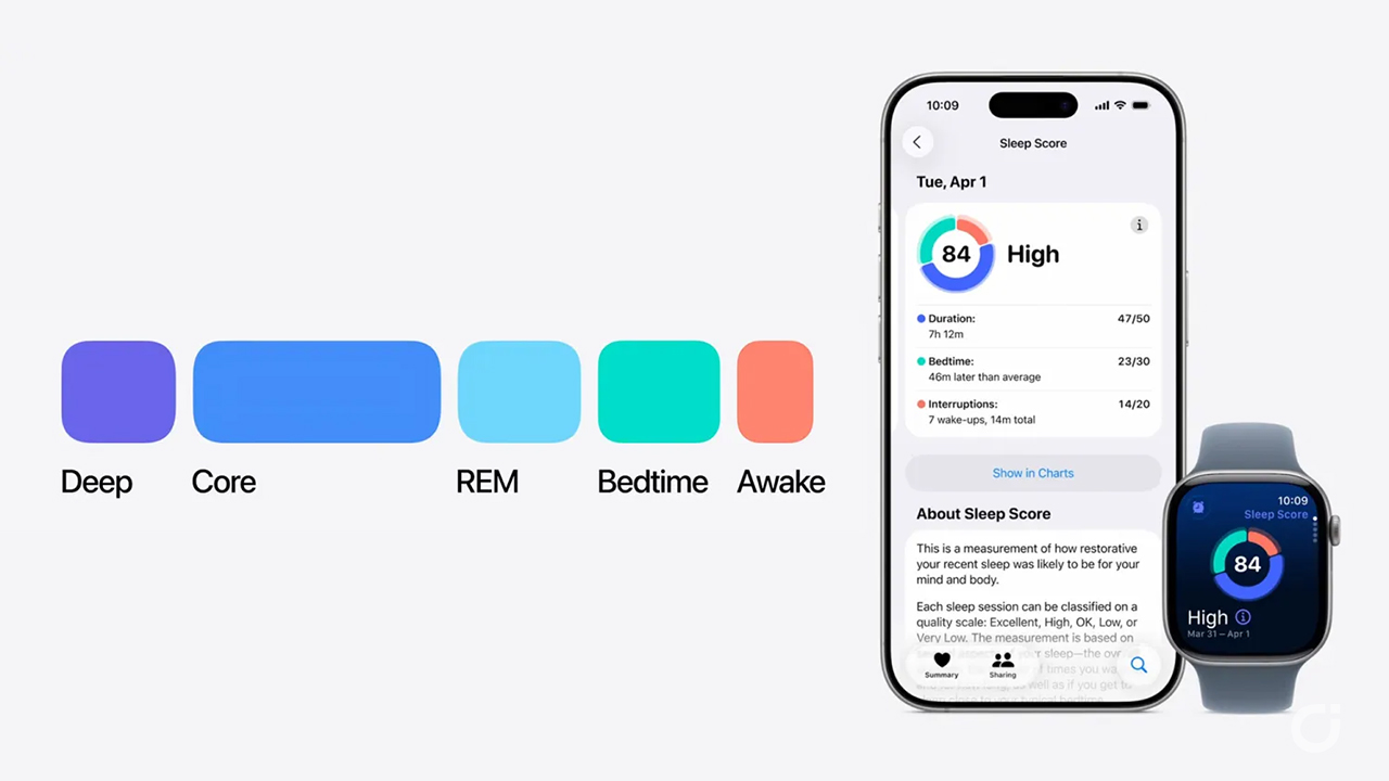 Qualità del sonno arriva anche sui vecchi Apple Watch: ecco i modelli compatibili